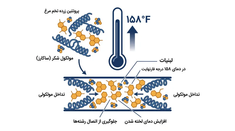 شکر و لبنیات به طور فیزیکی در کار پروتئین‌های تخم مرغ تداخل ایجاد می‌کنند و دمای مورد نیاز برای اتصال آنها را افزایش می‌دهند.
