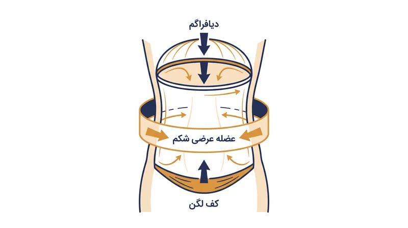 مرکز بدن به عنوان یک سیلندر تحت فشار عمل می‌کند که دیافراگم، کف لگن و عضله عرضی شکم به عنوان مرزهای آن عمل می‌کنند.