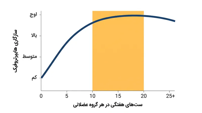 رابطه دوز-پاسخ نشان می‌دهد که پس از عبور حجم هفتگی از ۲۰ ست، بازدهی به طور قابل توجهی کاهش می‌یابد.