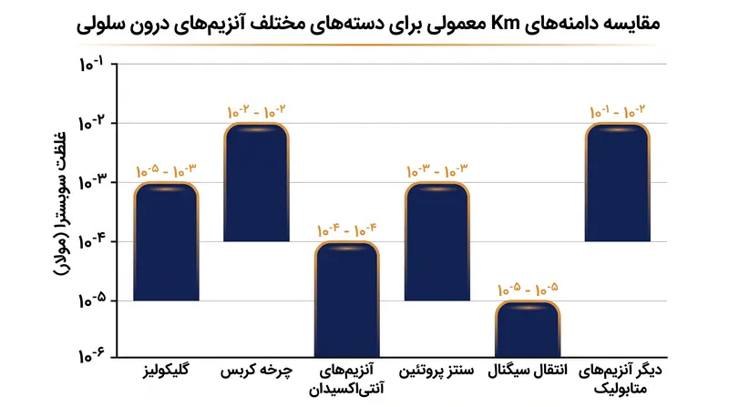 آنزیم‌های درون سلولی طیف گسترده‌ای از مقادیر Km را نشان می‌دهند که معمولاً با غلظت طبیعی سوبسترای خود مطابقت دارند.