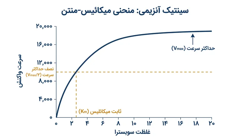 منحنی میکائلیس-منتن نشان می‌دهد که چگونه با افزایش غلظت سوبسترا، سرعت واکنش به حالت پایدار می‌رسد.