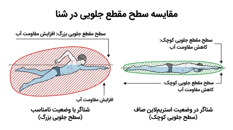 باسن افتاده مانند یک چتر نجات عمل می‌کند و سطح مقطع جلویی را که باید آب را جابجا کند، به شدت افزایش می‌دهد.