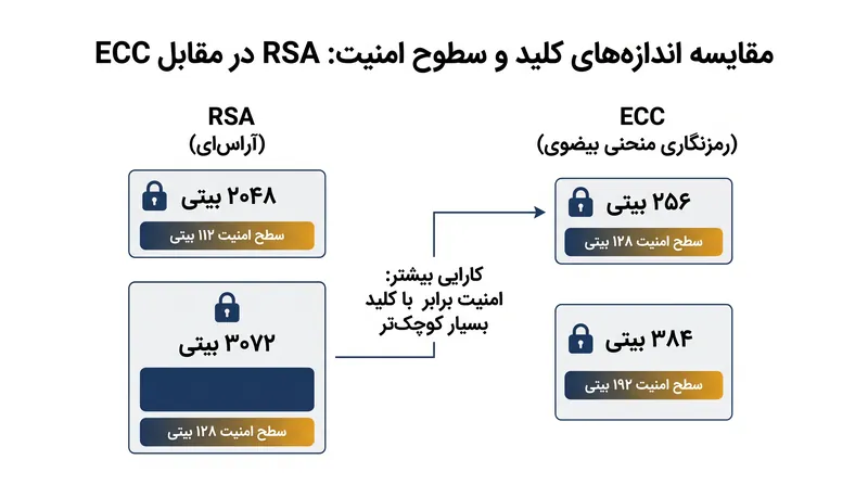 رمزنگاری منحنی بیضوی (ECC) حاشیه‌های امنیتی معادل را با اندازه‌های کلید به مراتب کوچک‌تر از RSA به دست می‌آورد.