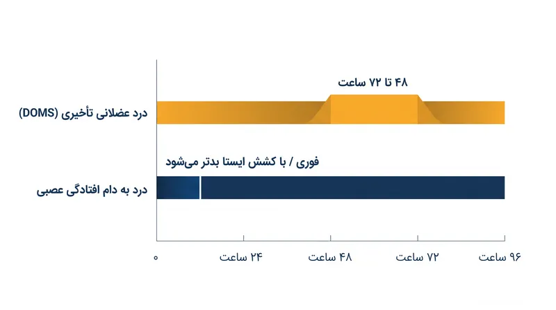 تحریک عصبی از جدول زمانی بهبودی سه‌روزه قابل پیش‌بینی درد عضلانی استاندارد پیروی نمی‌کند.