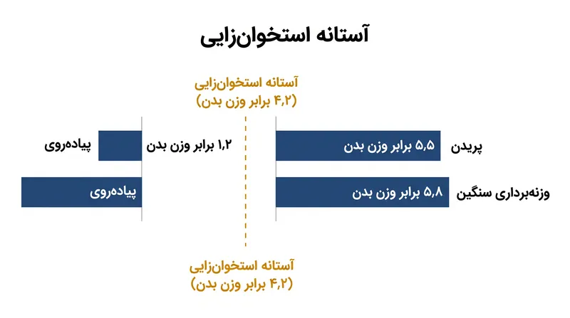 پیاده‌روی کمتر از یک سوم فشار مکانیکی لازم برای تحریک تشکیل استخوان جدید را تولید می‌کند.