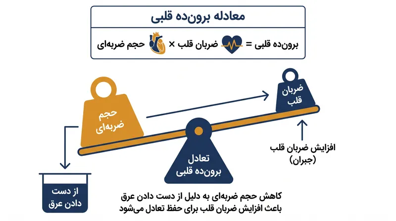 با کاهش حجم ضربه‌ای ناشی از از دست دادن مایعات، ضربان قلب باید افزایش یابد تا برون‌ده کلی قلب حفظ شود.