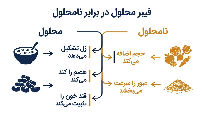 هر دو نوع فیبر در رسیدن به مرز ۱۴ گرم نقش دارند، اما عملکردهای مکانیکی متفاوتی در روده ایفا می‌کنند.