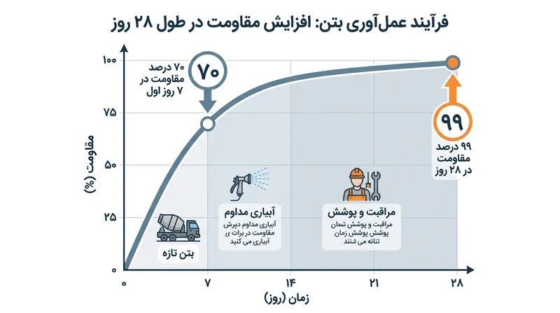 جدول زمانی ۲۸ روزه واکنش هیدراتاسیون بتن.