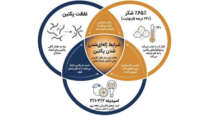 پکتین با متوکسیل بالا برای تشکیل یک شبکه ژله‌ای پایدار به سه شرط همزمان نیاز دارد.