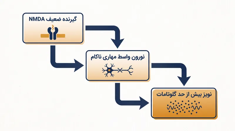 چگونه نقص در گیرنده‌های تحریکی NMDA به طور متناقضی طوفانی از نویز عصبی ایجاد می‌کند.
