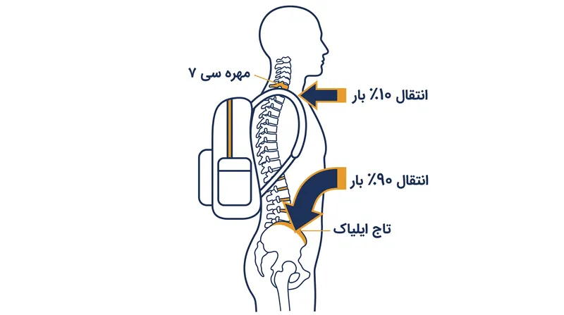 با اندازه‌گیری دقیق طول بالاتنه، یک فریم مستحکم می‌تواند تا ۹۰ درصد وزن کوله را به لگن منتقل کند.