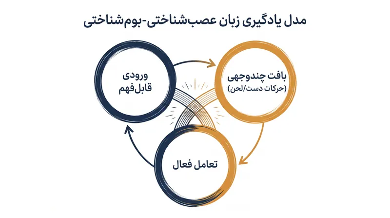 مدل عصب‌شناختی-بوم‌شناختی بر اهمیت نشانه‌های چندوجهی مانند حرکات دست و بافت فیزیکی در لحظه تاکید دارد.