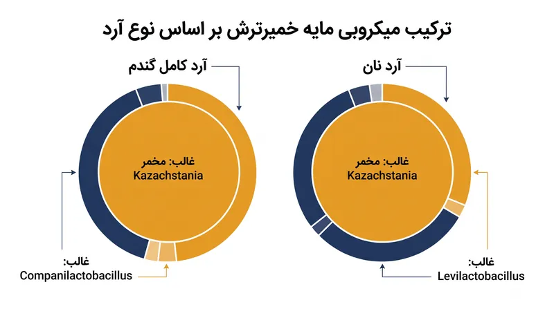 در حالی که مخمر Kazachstania در تمام مایه خمیرها غالب است، جوامع باکتریایی بر اساس انتخاب آرد توسط نانوا به شدت از هم متمایز می‌شوند.