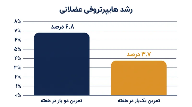 یک فراتحلیل در سال ۲۰۱۶ نشان داد که تمرین دادن یک گروه عضلانی دو بار در هفته، حتی با حجم تمرین کاملاً یکسان، پاسخ هایپرتروفی را در مقایسه با یک‌بار در هفته تقریباً دو برابر می‌کند.