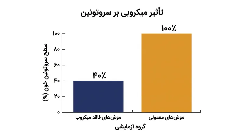 موش‌هایی که بدون میکروبیوم روده پرورش یافته‌اند، ۶۰ درصد کمتر از موش‌های دارای باکتری‌های طبیعی روده، سروتونین خون تولید می‌کنند.