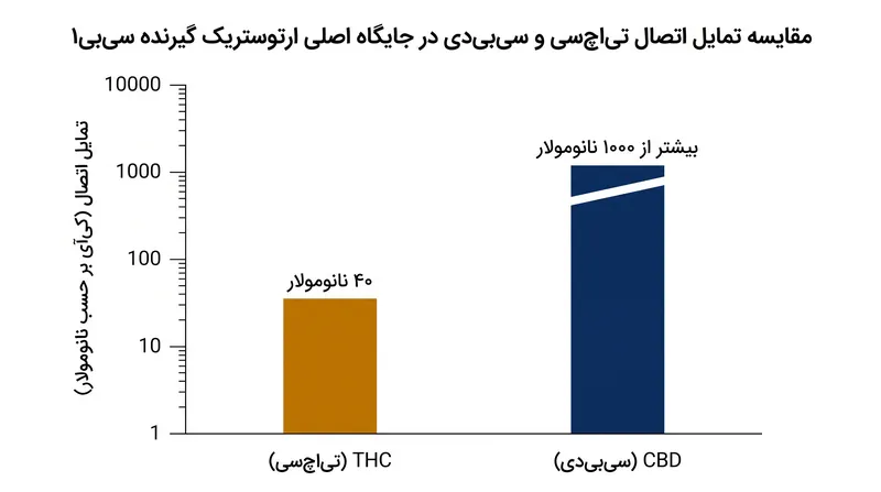 در مقایسه با THC، ماده CBD تمایل بسیار ضعیفی برای اتصال به جایگاه اصلی دارد و جایگاه ثانویه آلوستریک خود را ترجیح می‌دهد.