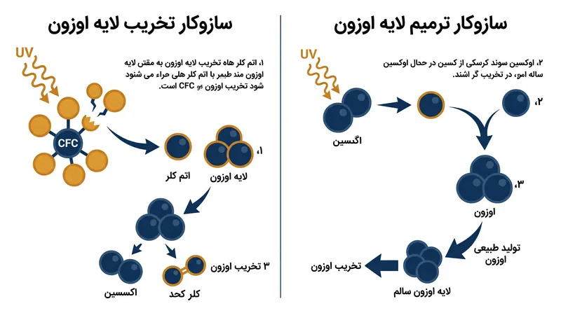 سازوکار شیمیایی ترمیم اوزون استراتوسفری.