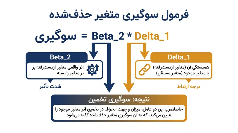 فرمول ریاضی که جهت و بزرگی سوگیری را تعیین می‌کند.