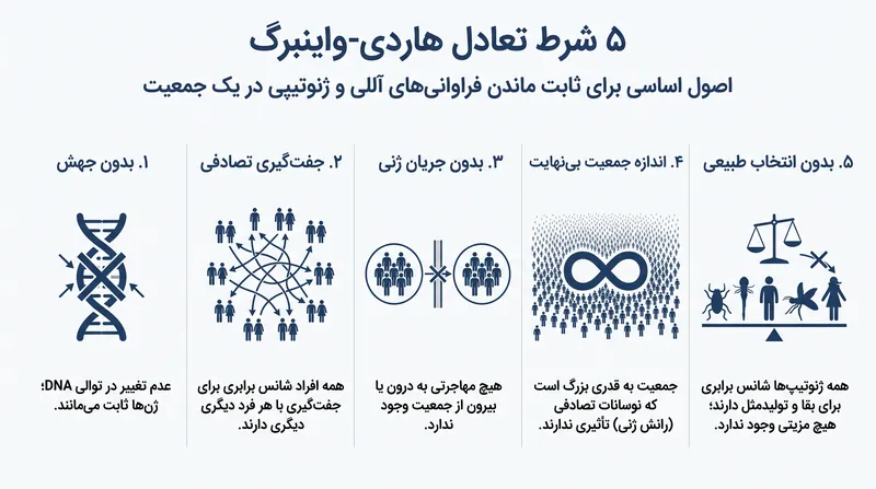 یک جمعیت برای باقی ماندن در تعادل ژنتیکی کامل، باید پنج معیار سخت‌گیرانه را برآورده کند.