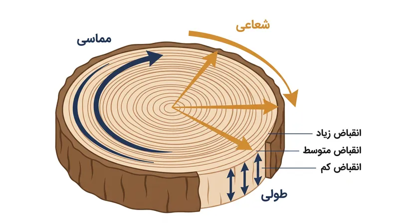 چوب در امتداد سه محور اصلی خود به شکل متفاوتی منقبض می‌شود که حرکت مماسی شدیدترین آن‌هاست.
