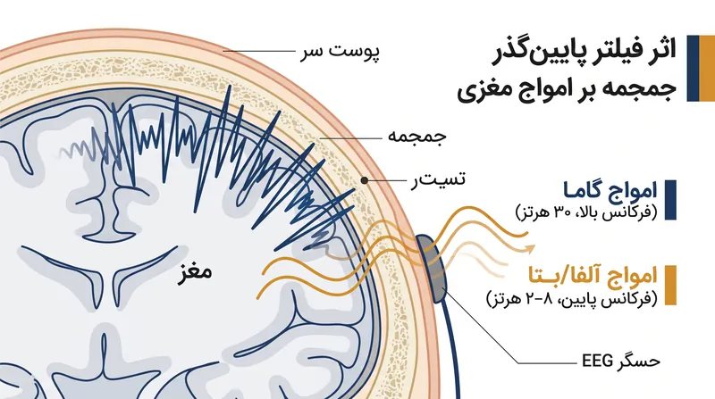 جمجمه به‌عنوان یک فیلتر فیزیکی عمل می‌کند و سیگنال‌های فرکانس بالای مورد نیاز برای رمزگشایی حرکتی پیچیده را مسدود می‌کند.