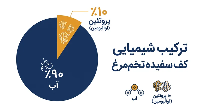 سفیده تخم‌مرغ عمدتاً از آب تشکیل شده است و برای حبس کردن هوا به درصد کمی از پروتئین‌های باز شده متکی است.