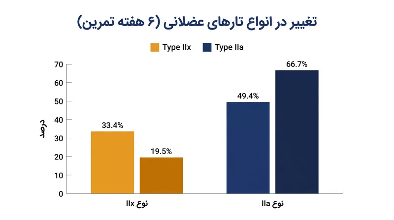 شش هفته تمرین قدرتی باعث تغییر سریع تارهای نوع IIx به نوع IIa می‌شود.