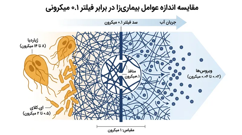 تفاوت اندازه بین انگل‌ها، باکتری‌ها و ویروس‌ها تعیین می‌کند که یک فیلتر مکانیکی چه چیزی را می‌تواند به دام بیندازد.
