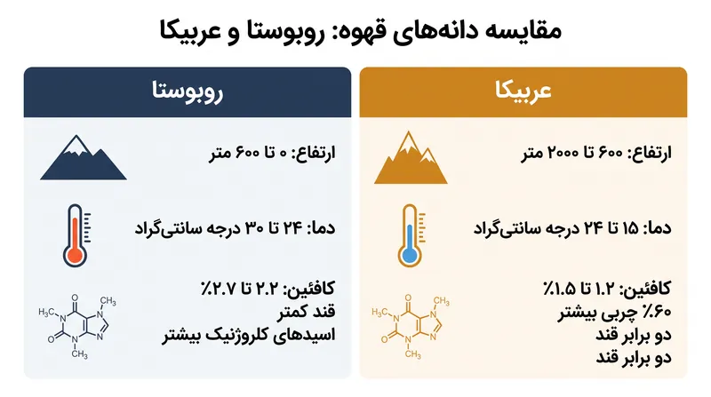 تفاوت‌های بیولوژیکی و شیمیایی بین عربیکا و روبوستا، شرایط کشت و ویژگی‌های طعمی آن‌ها را تعیین می‌کند.