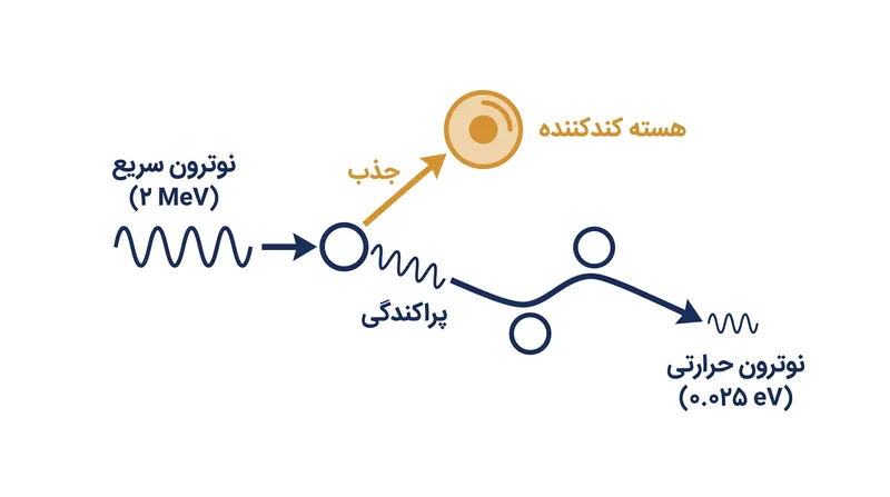 کندکننده‌ها از طریق برخوردهای الاستیک پی‌درپی، سرعت نوترون‌های سریع را کاهش داده و احتمال تداوم واکنش زنجیره‌ای را افزایش می‌دهند.