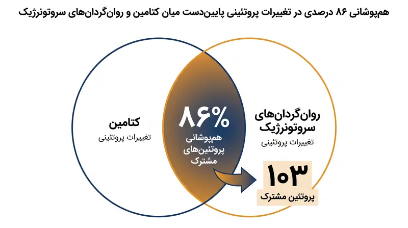 کتامین و روان‌گردان‌های سروتونرژیک، با وجود اثرگذاری بر گیرنده‌های اولیه متفاوت، یک پاسخ پروتئینی بسیار همگرا در پایین‌دست ایجاد می‌کنند.