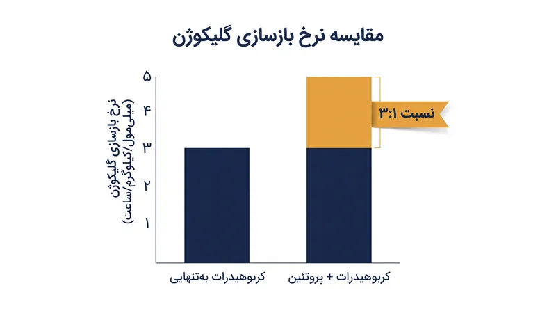 افزودن پروتئین به یک مقدار متوسط از کربوهیدرات، همان میزان بازسازی گلیکوژن را به همراه دارد که مصرف مقدار بسیار زیادی کربوهیدرات به‌تنهایی انجام می‌دهد.