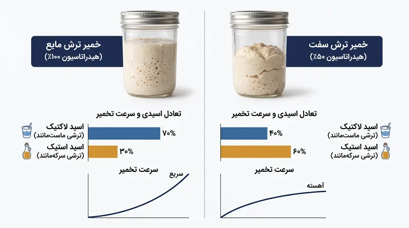چگونه سطح هیدراتاسیون، تعادل تولید اسید در کشت خمیر ترش را تغییر می‌دهد.