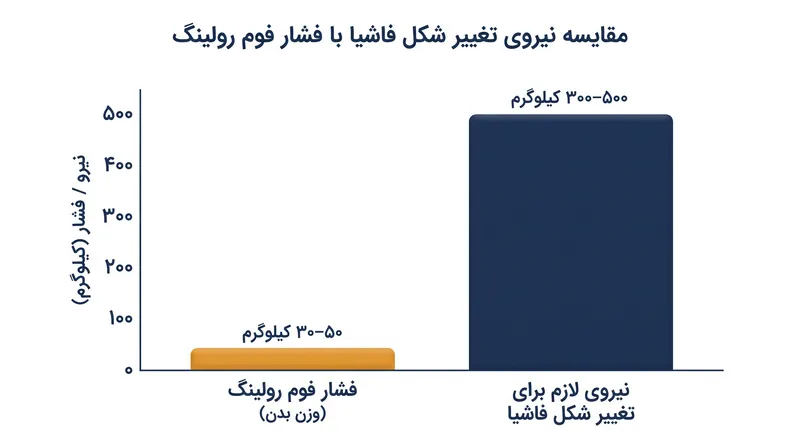 فشار ناشی از وزن بدن برای تغییر فیزیکی ساختار فاشیا کافی نیست؛ این موضوع نشان‌دهنده عملکرد یک مکانیسم عصبی است.