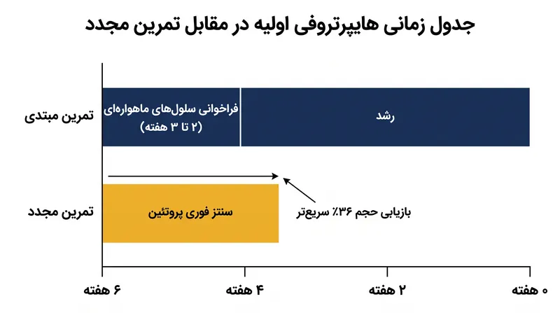 تمرین مجدد، گلوگاه فراخوانی سلول‌های ماهواره‌ای را دور می‌زند و رشد عضله را به میزان قابل توجهی تسریع می‌کند.