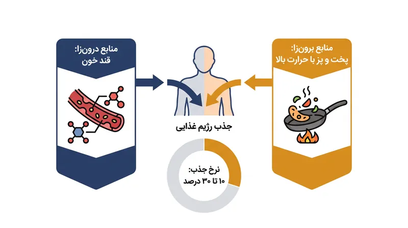 تشکیل درون‌زا و جذب از طریق رژیم غذایی، هر دو در انباشت AGE در گردش خون نقش دارند.