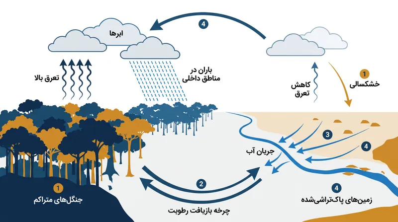 موتور هیدرولوژیک آمازون چگونه از طریق تعرق پیوسته، رطوبت را به مناطق داخلی پمپاژ می‌کند.