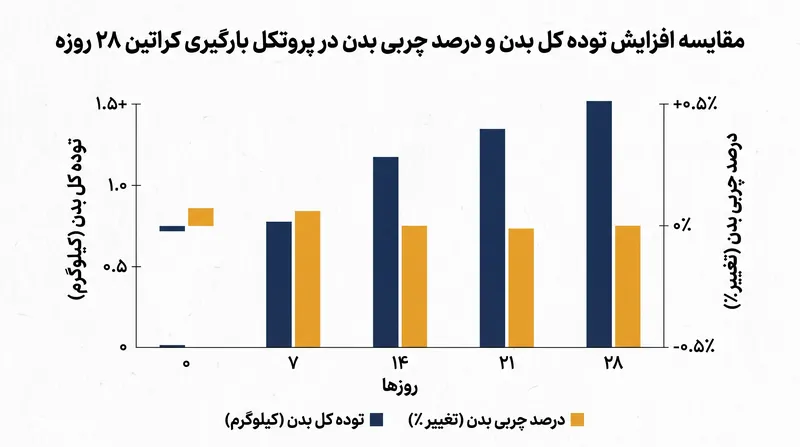 در حالی که توده کل بدن در ماه اول مصرف مکمل به طور قابل‌توجهی افزایش می‌یابد، درصد چربی بدن بدون تغییر باقی می‌ماند.