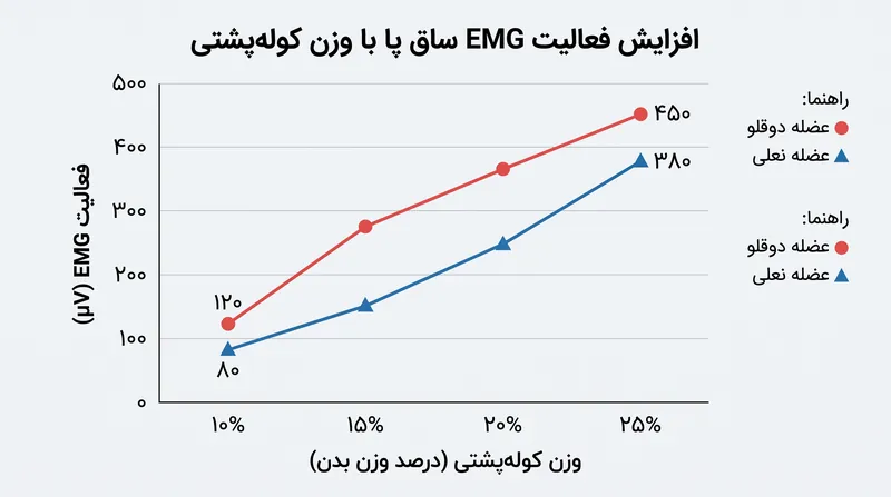 با افزایش وزن کوله‌پشتی، عضلات ساق پا زودتر فعال شده و مدت طولانی‌تری منقبض می‌مانند که این امر جذب ضربه را کاهش می‌دهد.