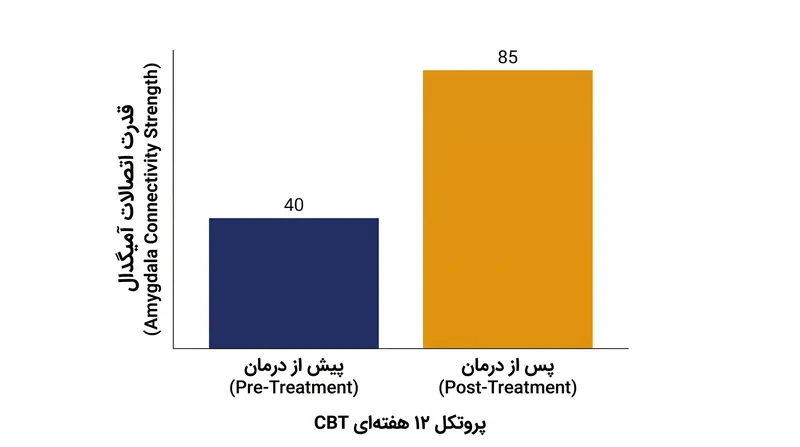 بیمارانی که تحت بازسازی شناختی قرار می‌گیرند، افزایش قابل‌اندازه‌گیری در ارتباطات عملکردی شبکه کنترل شناختی خود نشان می‌دهند.
