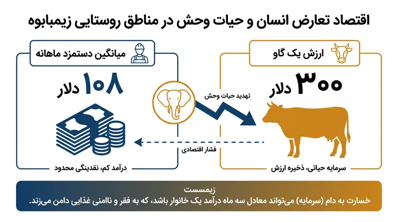 برای یک خانوار روستایی، از دست دادن تنها یک گاو به دلیل حمله درندگان، نزدیک به یک‌چهارم درآمد سالانه آن‌ها را از بین می‌برد.
