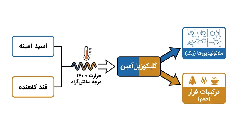 سه مرحله واکنش مایارد، اسیدهای آمینه و قندهای ساده را به صدها مولکول طعمی متمایز تبدیل می‌کند.