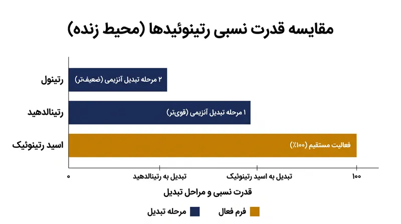 رتینول به دلیل گلوگاه بیولوژیکی تبدیل آنزیمی، تقریباً ۲۰ برابر ضعیف‌تر از اسید رتینوئیک است.