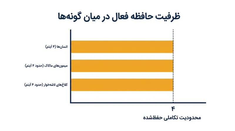 با وجود تفاوت‌های ساختاری گسترده در مغز، انسان‌ها، پستانداران و پرندگان محدودیت ظرفیت عصبی مشابهی دارند.