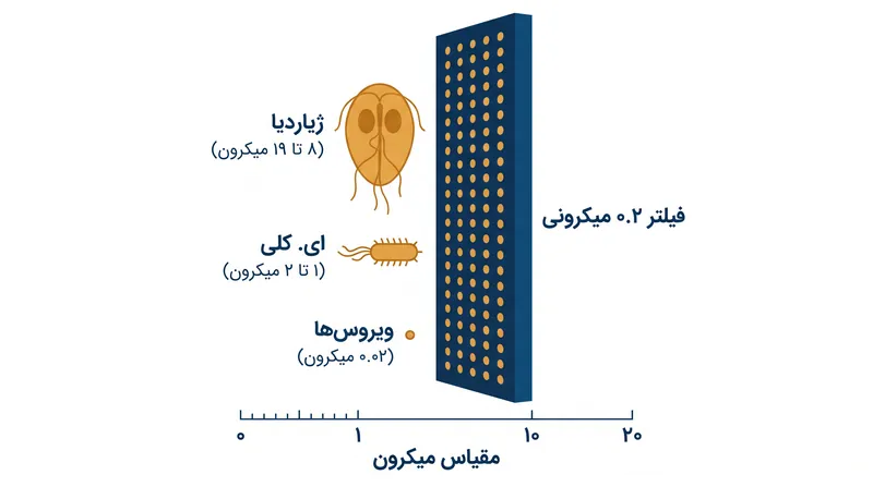 در حالی که تک‌یاخته‌ها و باکتری‌ها به‌راحتی توسط منافذ ۰.۲ میکرونی به دام می‌افتند، ویروس‌ها آن‌قدر کوچک هستند که از آن‌ها عبور کنند.