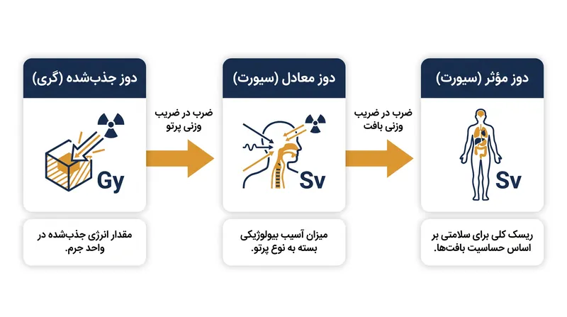فرآیند تبدیل دومرحله‌ای از انرژی فیزیکی به خطر بیولوژیکی.