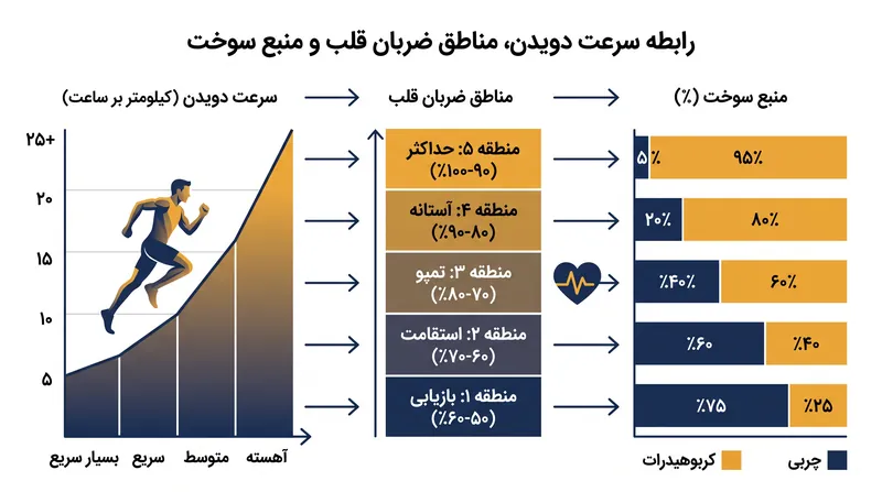 دویدن با سرعت کمتر، ضربان قلب را در منطقه هوازی نگه می‌دارد که این امر چربی‌سوزی را به حداکثر رسانده و گلیکوژن را حفظ می‌کند.