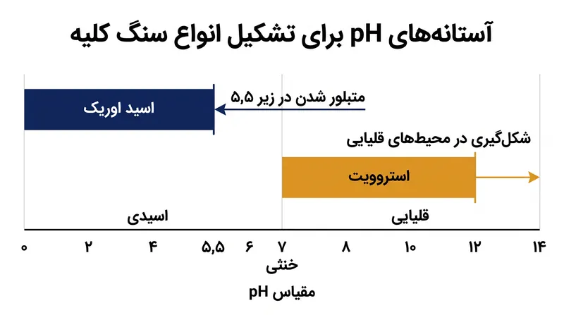 تبلور سنگ‌های اسید اوریک و استروویت به شدت به تعادل اسید و باز ادرار وابسته است.