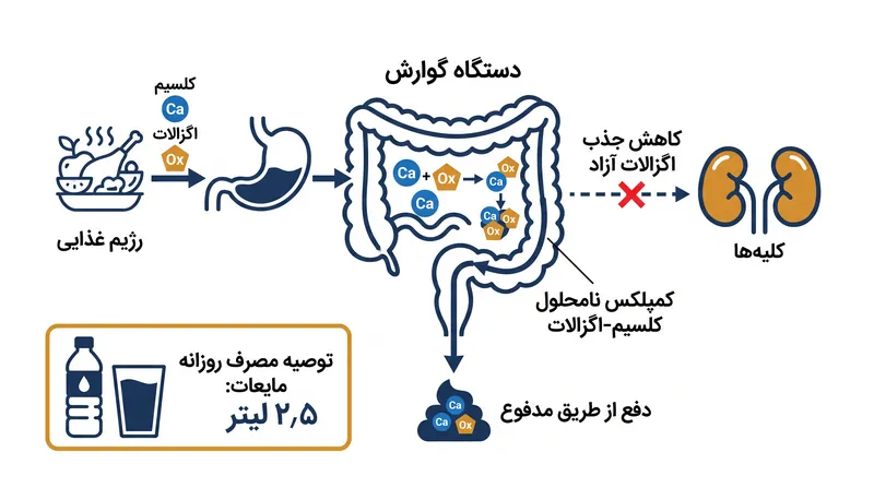 مصرف کلسیم در کنار غذاهای غنی از اگزالات باعث می‌شود این ترکیبات به جای کلیه‌ها، در روده به یکدیگر متصل شوند.