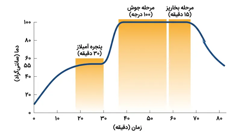 مرحله طولانی خیساندن به آنزیم‌ها اجازه می‌دهد تا پیش از به جوش آمدن آب، نشاسته‌های پیچیده را به قندهای ساده تبدیل کنند.